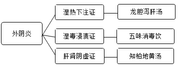 2019年中西醫(yī)執(zhí)業(yè)助理醫(yī)師輔導(dǎo)精華