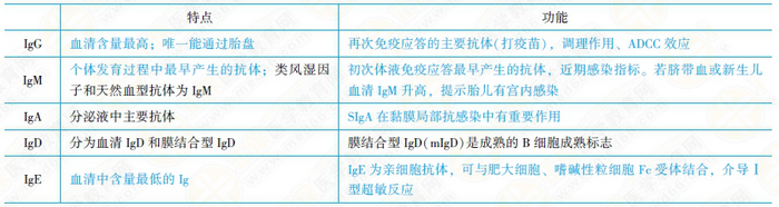 免疫球蛋白的結構和功能