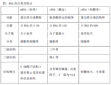 核酸機構與功能