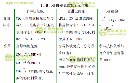 T、B、NK細(xì)胞表面標(biāo)記及作用