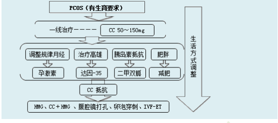 多囊卵巢綜合征