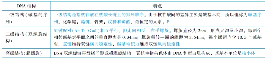 DNA各級結(jié)構(gòu)的特點