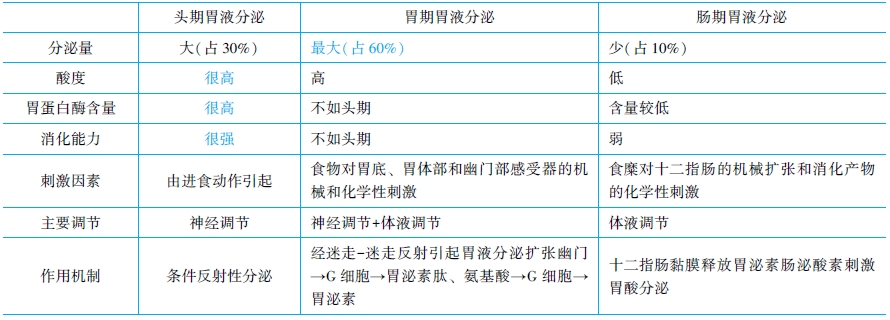 消化期的胃液分泌特點(diǎn)