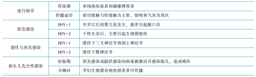 單純皰疹病毒分型及流行病學(xué)特點