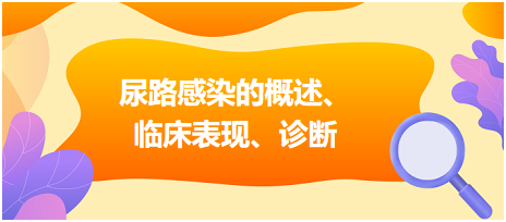 尿路感染的概述、臨床表現(xiàn)、診斷