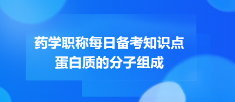 蛋白質(zhì)的分子組成-2024藥學(xué)職稱考試每日備考知識點