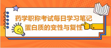 2024藥學職稱考試每日學習筆記：蛋白質(zhì)的變性與復性