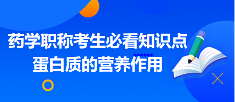 2024藥學職稱考生必看知識點：蛋白質的營養(yǎng)作用