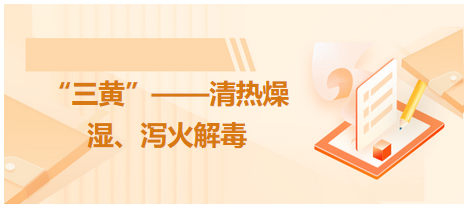 “三黃”——清熱燥濕、瀉火解毒